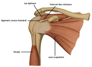 CONFLIT SOUS ACROMIAL 2